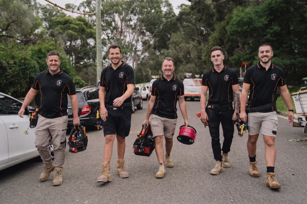 Professional electrical services in Dural